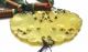 Old Chinese Serpentine Not Jade Carved Carving Butterfly Pendant Plaque Tassel Necklaces & Pendants photo 3