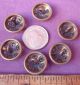 6 Antique Victorian Matching Rolled Edge Open Work Domed Brass Buttons 9/16 