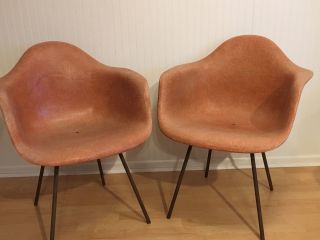 Herman Miller Charles Eames Salmon Fiberglass Covered Arm Shell Chairs Pair photo