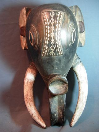 Exquiste Heavy Solid Baule Elephant Mask,  Ivory Coast. photo