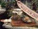Primitive Early Look Three 3 