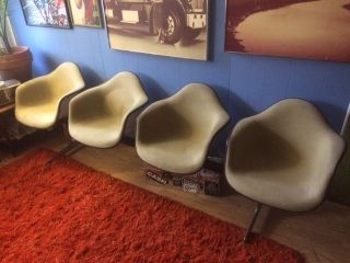 Four Herman Miller Eames Armshell Chair Mid - Century Beige photo