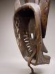 A Rare Bamana Bambara Suruku Hyena Mask Stunning Sculptures & Statues photo 9