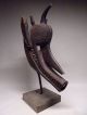 A Rare Bamana Bambara Suruku Hyena Mask Stunning Sculptures & Statues photo 1