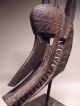 A Rare Bamana Bambara Suruku Hyena Mask Stunning Sculptures & Statues photo 5