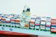 Cosco Container Ship 38 