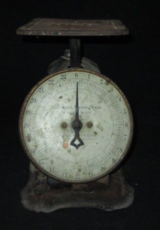 Columbia Family Scale By Landers Frary & Clark 24 Lbs.  Patent April 16,  1907 photo
