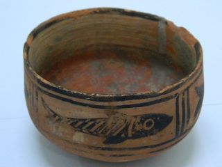Ancient Teracotta Painted Pot With Fishes Indus Valley 2500 Bc Pt150 photo