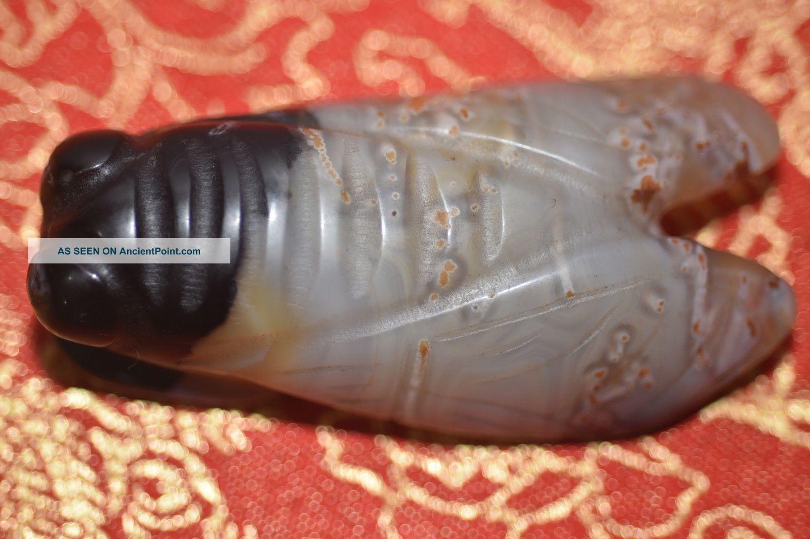 Old Chinese Agate Hongshan Culture Hand Carved Cicada Amulet Pendant 0001 Necklaces & Pendants photo
