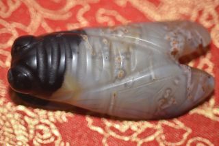 Old Chinese Agate Hongshan Culture Hand Carved Cicada Amulet Pendant 0001 photo