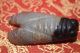 Old Chinese Agate Hongshan Culture Hand Carved Cicada Amulet Pendant 0001 Necklaces & Pendants photo 1