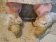 Primitive Easter Bunny Chenille Lace Rhinestone Button Folk Art Rabbit Doll Primitives photo 8