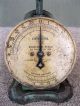 Antique Universal Family Scale Household Landers Frary Clark Green Paint 24 Lbs Scales photo 6