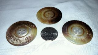 3 Lrg.  Antique Mother Of Pearl Buttons (matching) photo