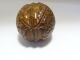 Antique Carved Walnut Wooden Thimble Case With French Sterling Silver Thimble Thimbles photo 6