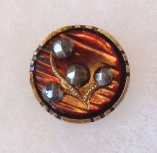 Button Colored Steel Cup Cut Flowers Small Victorian photo