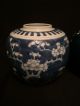 Antique 19th C Blue & White Prunus Pattern Tea Caddys Or Jars Vases photo 1
