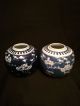 Antique 19th C Blue & White Prunus Pattern Tea Caddys Or Jars Vases photo 3