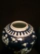 Antique 19th C Blue & White Prunus Pattern Tea Caddys Or Jars Vases photo 4