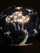 Antique 19th C Blue & White Prunus Pattern Tea Caddys Or Jars Vases photo 7