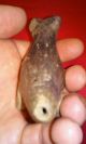 Mayan Pre - Columbian Artifact Large Dog Figure Whistle 250 - 900 A.  D. The Americas photo 3
