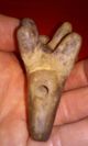 Mayan Pre - Columbian Artifact Large Dog Figure Whistle 250 - 900 A.  D. The Americas photo 5