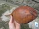 Primitive Antique Wood Carving Handmade Spoon Cooking Serving Very Large Huge Primitives photo 9