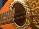 Antique 1910 ' S Vega Bowl Back Mandolin Serial No.  24150 With Case,  As - Is String photo 9