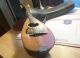 Antique 1910 ' S Vega Bowl Back Mandolin Serial No.  24150 With Case,  As - Is String photo 6