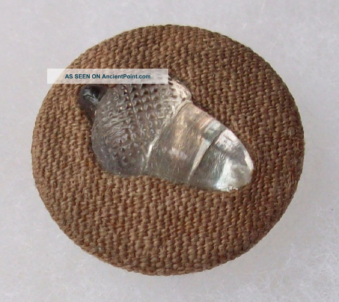 Button Glass Acorn Fabric Buttons photo