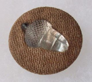 Button Glass Acorn Fabric photo