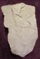 Ancient Egyptian Old Kingdom Carved Sandstone Wall Facing Panel 2400 Bc Stele Egyptian photo 1