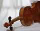Fine Antique Italian Violin Mario Gadda Fece Inn Mantoae Anno 1986 String photo 4