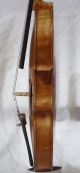 Fine Antique Italian Violin Mario Gadda Fece Inn Mantoae Anno 1986 String photo 8