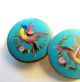 Exquisite Pair Antique French Enamel Cuff Buttons - Bird & Flowering Branch 19c Buttons photo 2
