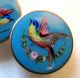 Exquisite Pair Antique French Enamel Cuff Buttons - Bird & Flowering Branch 19c Buttons photo 4