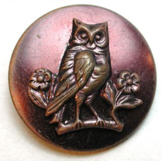 Antique Brass Button Detailed Tinted Perched Owl W/ Flowers - 1 & 3/16 Inch photo