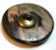 Antique Carved Iridescent Shell Button W/ Brass Sphinx Escutcheon 1 Inch Buttons photo 1