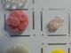 17 Vintage Antique Glass Buttons Flowers Buttons photo 6