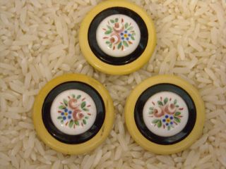 3 Antique Celluloid Buttons Porcelain Centers W/ Hand - Painted Flowers photo