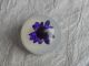 Antique Vintage Lucite Button With Purple Dried Flower Habitat 754b Buttons photo 1