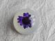 Antique Vintage Lucite Button With Purple Dried Flower Habitat 754b Buttons photo 2