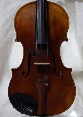 Fine Antique Italian Labelled Violin Marengo Rinaldi Fecit Taurini 1897 photo