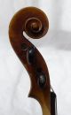Fine Antique Italian Labelled Violin Marengo Rinaldi Fecit Taurini 1897 String photo 2