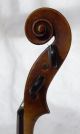 Fine Antique Italian Labelled Violin Marengo Rinaldi Fecit Taurini 1897 String photo 5