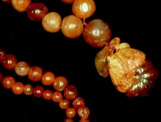 Antique Carnelian Necklace Chinese Carved Opal Pendant Vermeil Clasp photo