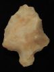 A Perfect Stemmed Aterian Artifact 55,  000 To 12,  000 Years Old Algeria 23.  70 Neolithic & Paleolithic photo 4