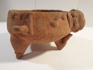 Nicoya Figural Bowl Costa Rica Pre - Columbian Archaic Ancient Artifact Mayan Nr photo