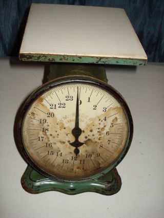 Antique W.  M.  Enders 1906 Oak Leaf Kitchen Utility Scale 24 Lb. photo