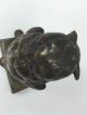 Antique Austrian Vienna Bronze Owl On Books Servants Butler Bell - Push Button Metalware photo 7